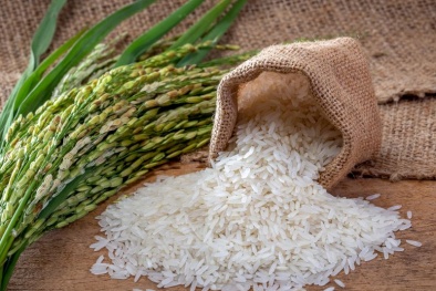 TCVN 14238:2024 về đánh giá thời gian hồ hóa của hạt gạo trong khi nấu